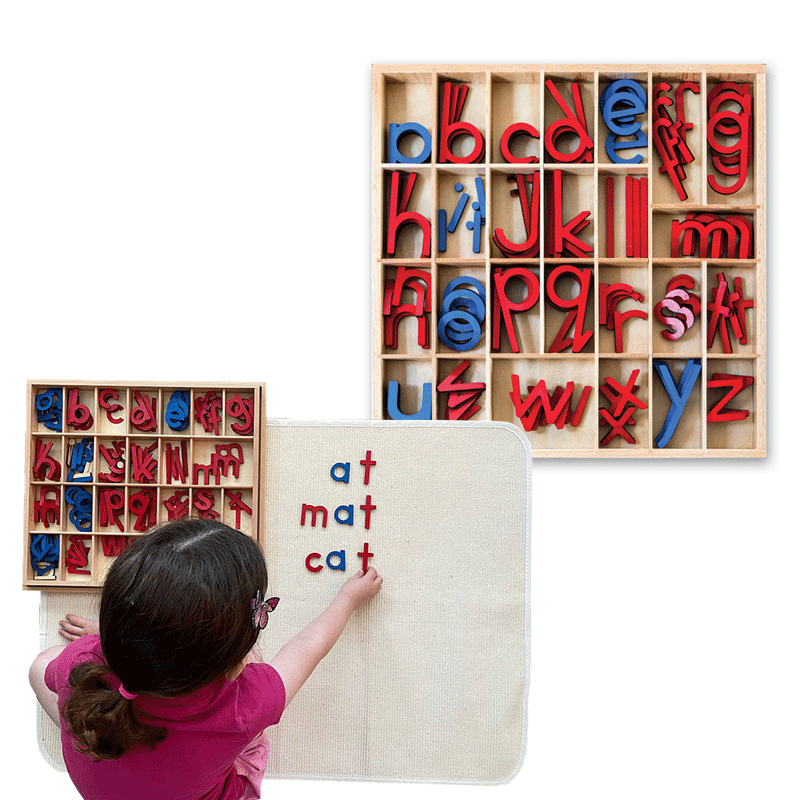 Montessori Movable Alphabet