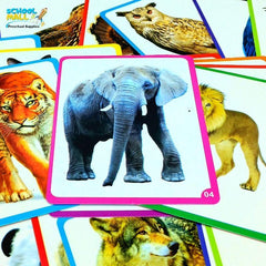 Animal & Birds Flash Cards ( 32 Cards )