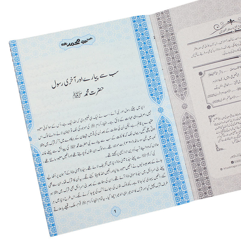 Seerat UL Anbiya Books