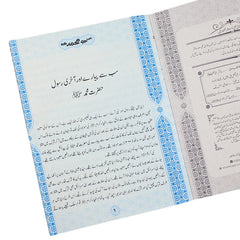 Seerat UL Anbiya Books