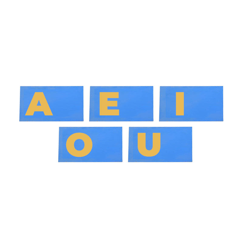 Educational toys, Montessori Products