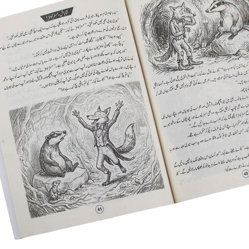Urdu Story Book
