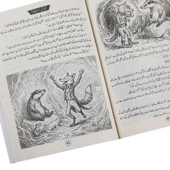Urdu Story Book