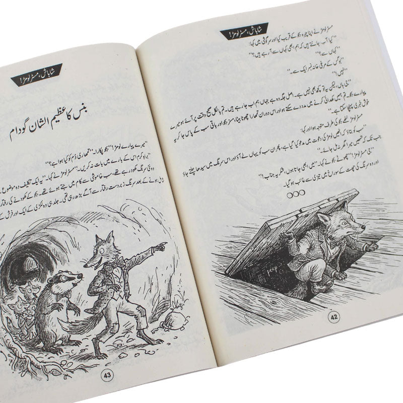 Urdu Story Book