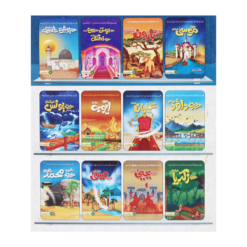 Seerat UL Anbiya Books