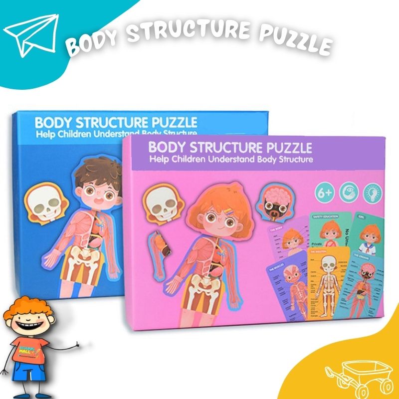 Body Structure Puzzle Wooden Game