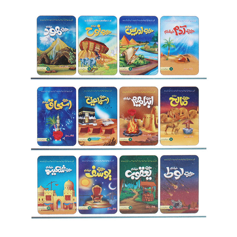 Seerat UL Anbiya Books