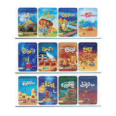 Seerat UL Anbiya Books