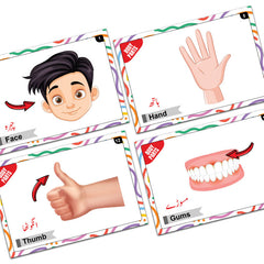Flash Cards