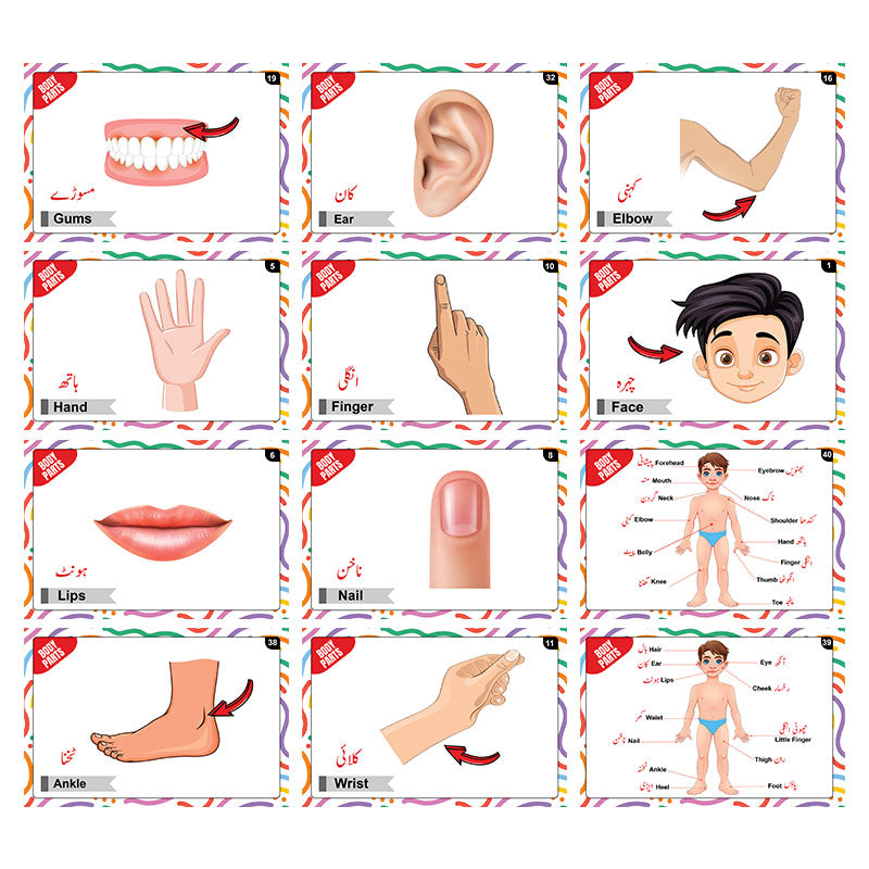 Flash Cards