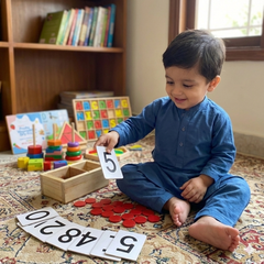 Montessori Cards and Counters