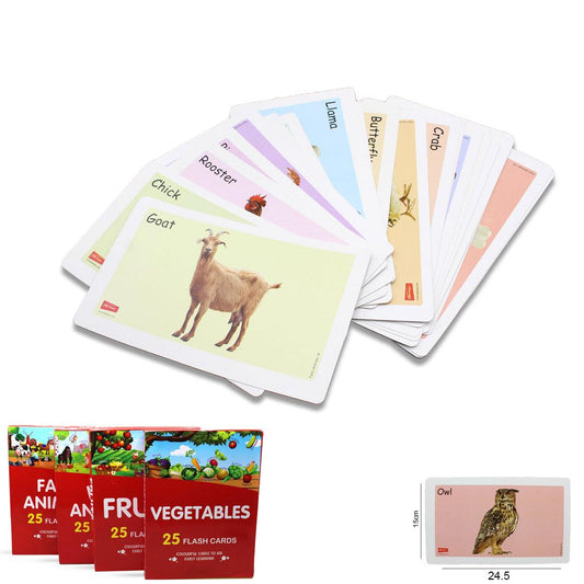 25 Early Education Flash Card