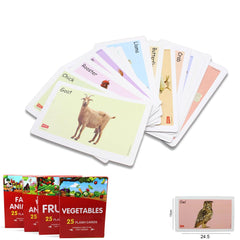 25 Early Education Flash Card